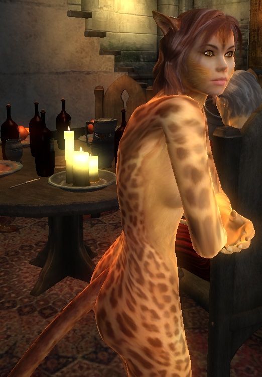 Tabaxi Cat Race 1.5 - The Elder Scrolls IV: Oblivion Mods ...